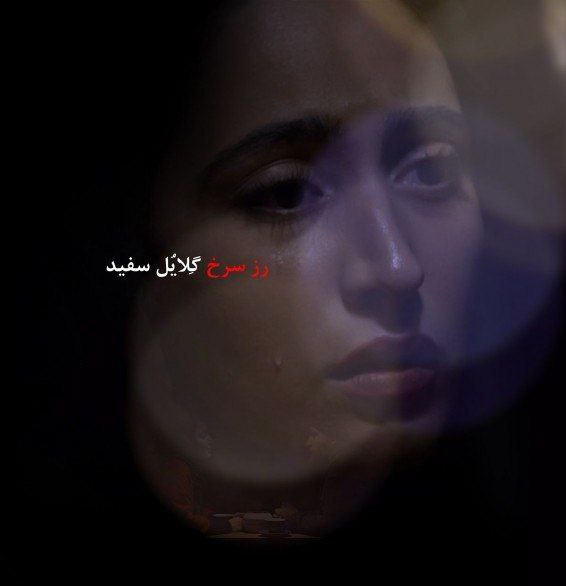 رز سرخ گلایل سفید