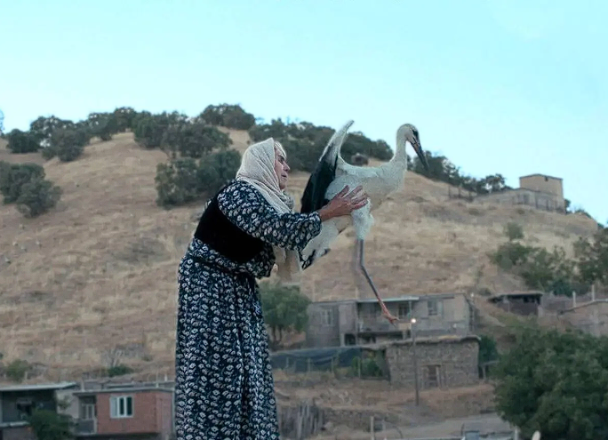 یک مستند ایرانی برنده جشنواره فیلم بوسان شد